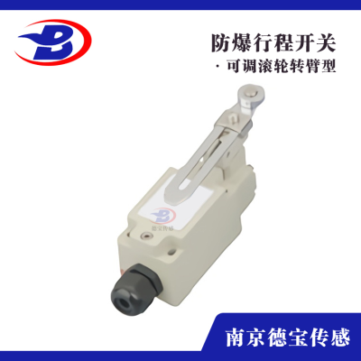 DOB-JDHK/L-1Y柱塞型防爆行程開關