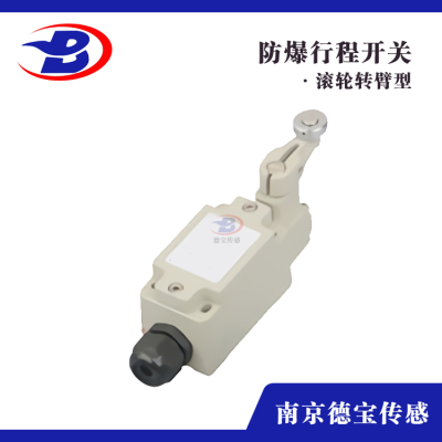 DOB-BZX51/L-5S防爆行程開關雙搖臂